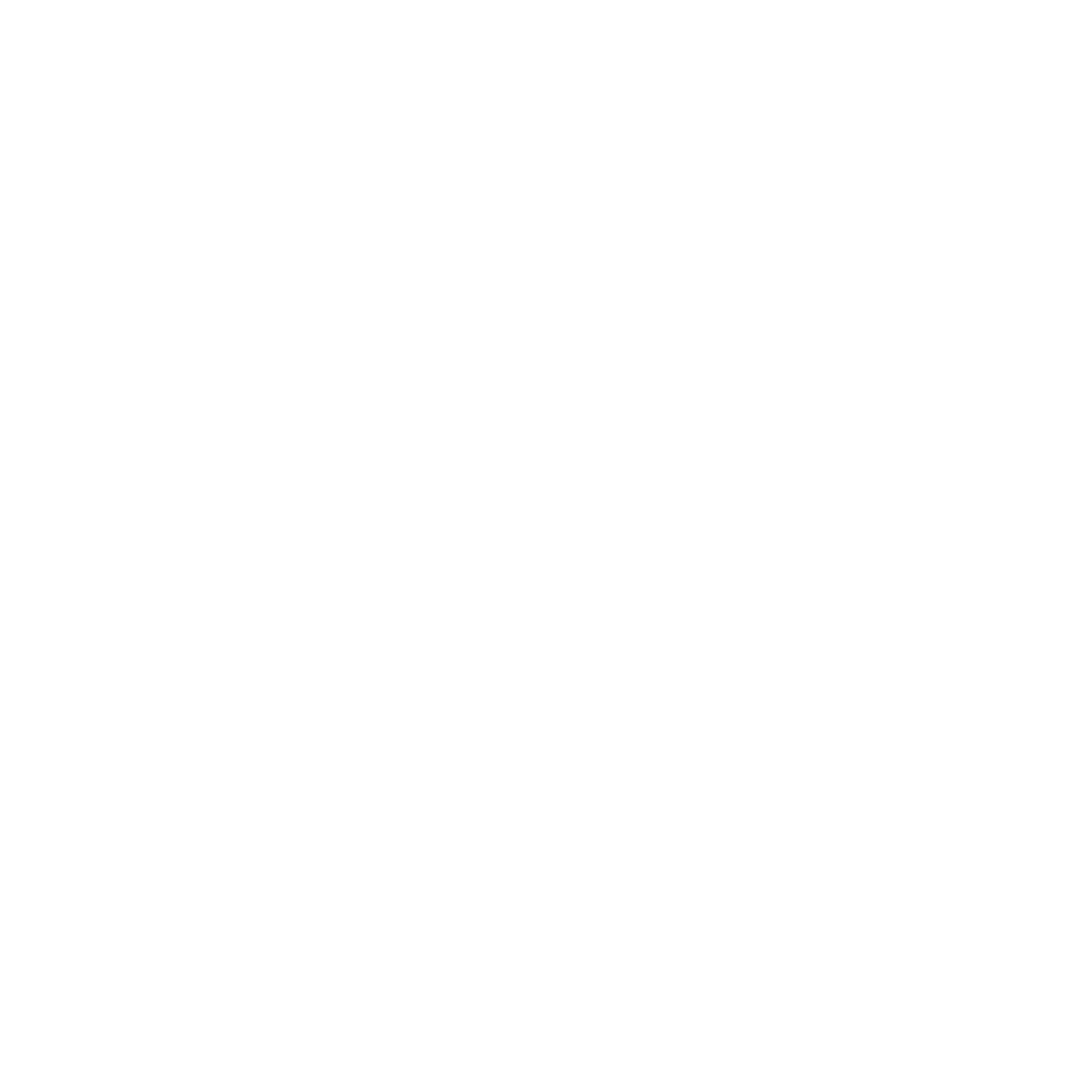 The virtual rep (9) (2)